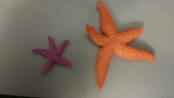 Thread 5: don't forget your Christmas goat