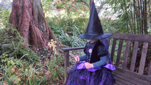 Share pictures of your witches and wizards from this Halloween to win Worst Witch goodies, Halloween choices and £50 Amazon vouchers.