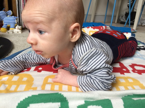 August 2015 - Jaffa cake wars and many Mugabe greetings to you!