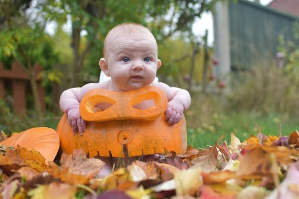 August 2015 - Jaffa cake wars and many Mugabe greetings to you!