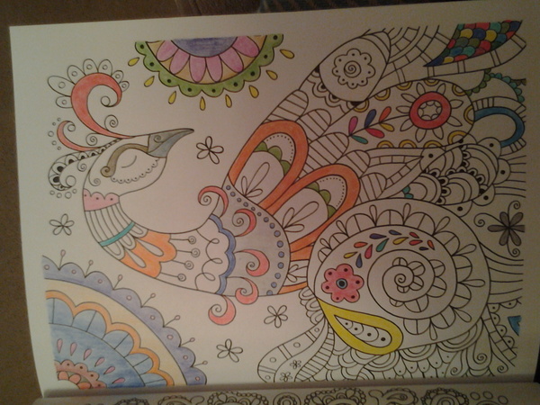 Adult colouring in - come join us, we're friendly!