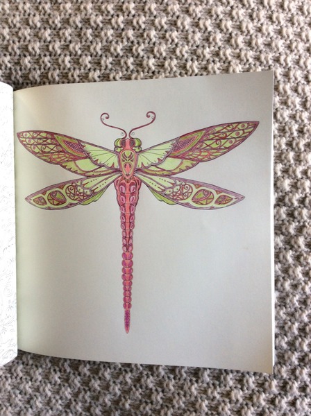 Adult colouring in - come join us, we're friendly!