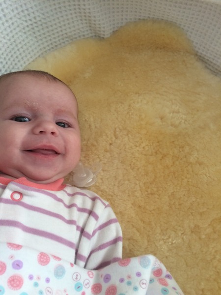 August 2015 - Let the Sleepless Nights Commence