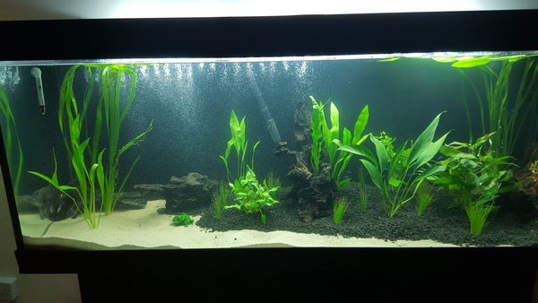 450L Tropical Tank