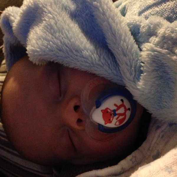 August 2015 - Jaffa cake wars and many Mugabe greetings to you!