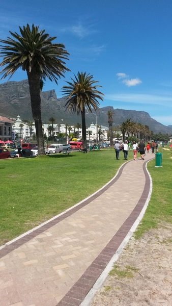 South Africa restaurant recommendations