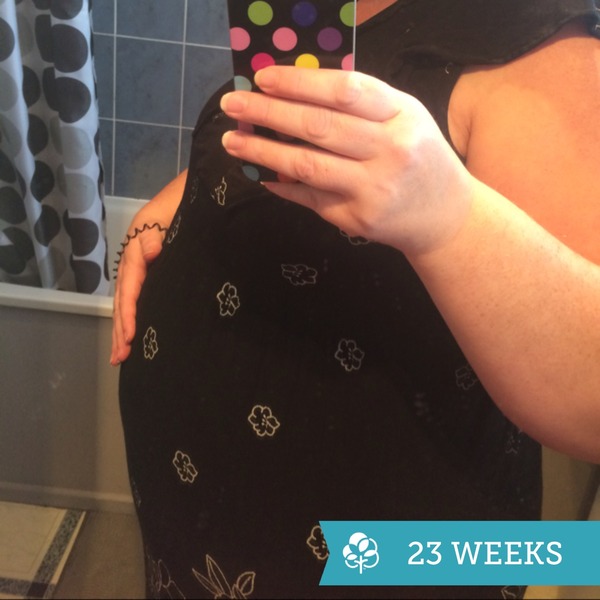 February 2016 Halfway mark: Flutters into kicks into thwacks!