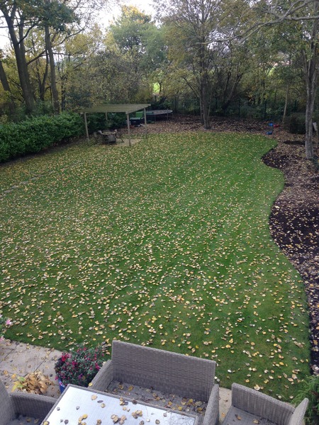 October continuing into Novemeber frugaleers part trois