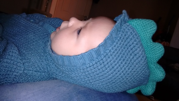 August 2015 - Jaffa cake wars and many Mugabe greetings to you!