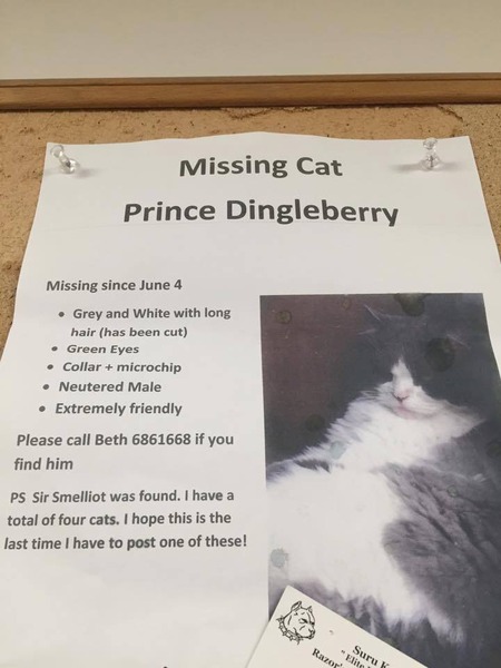 To give my pet a human name