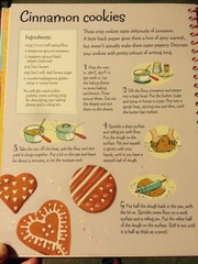 Usborne lemon biscuits