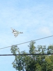 October Frugaleers part deux