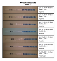 Positive ovulation tests but negative pregnancy tests?!?!