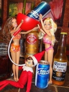 Elf on the shelf?