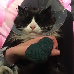 My poor little lad