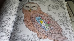Adult colouring in - come join us, we're friendly!