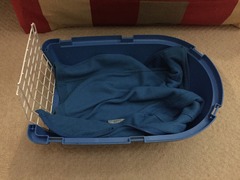 Advice on getting cat into cat carrier