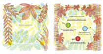 COMPETITION: Win a copy of beautiful 'What's Hidden in the Woods'