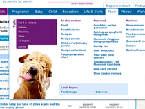 to think that the pictures (pregnant woman with fishtail plait, woman in rollers shaving, dog covered in spaghetti etc) are the single most annoying thing about Mumsnet?
