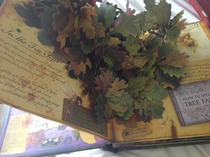 Bargain thread 4: the one where we all await our Molton Brown orders