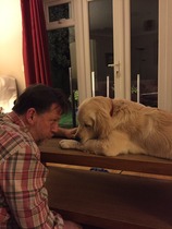 Ive had a golden retriever puppy 4 days....and changed my mind