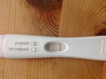 October bfp bus, hop on your broomsticks and banish the witch!