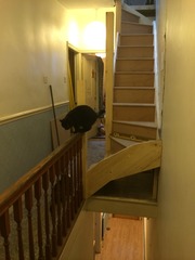 Should I  paint these bannisters? Pic incouded
