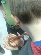 Find out what Mumsnetters thought of the My Pet Pals workshop at their local Pets at Home store NOW CLOSED