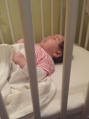 August 2015 - Jaffa cake wars and many Mugabe greetings to you!