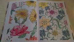 Adult colouring in - come join us, we're friendly!