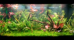 450L Tropical Tank