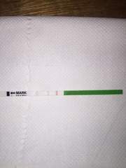 opk dilemma