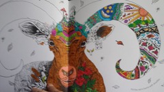 Adult colouring in - come join us, we're friendly!