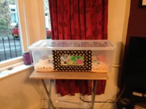 want to see my new hamster cage, I made it myself, feeling very clever.