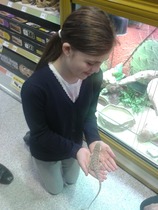 Find out what Mumsnetters thought of the My Pet Pals workshop at their local Pets at Home store NOW CLOSED