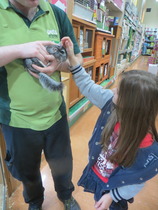 Find out what Mumsnetters thought of the My Pet Pals workshop at their local Pets at Home store NOW CLOSED