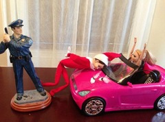 Elf on the shelf?
