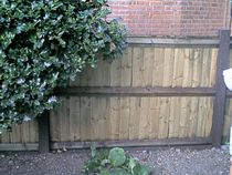 forecourt makeover - help !