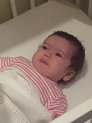 August 2015 - Jaffa cake wars and many Mugabe greetings to you!