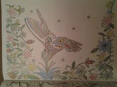 Adult colouring in - come join us, we're friendly!