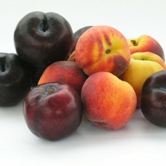 Swagger Inn Thread 113: Countdown to ElkonburyFest is ON