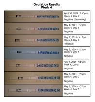 Positive ovulation tests but negative pregnancy tests?!?!