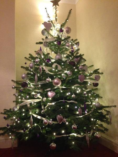 Real or fake Christmas tree? Share your opinions with Homebase for a chance to win a £300 Homebase voucher. NOW CLOSED