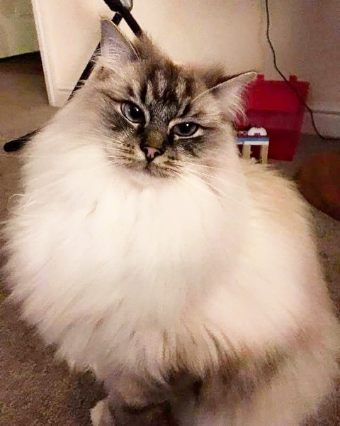 Help rename this fella