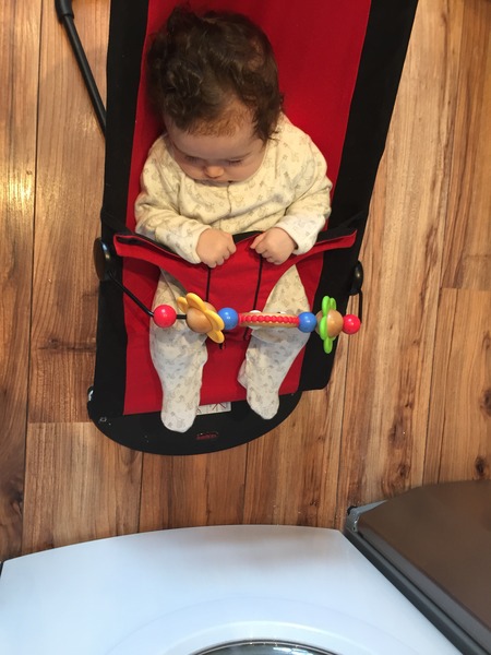 August 2015 - Jaffa cake wars and many Mugabe greetings to you!