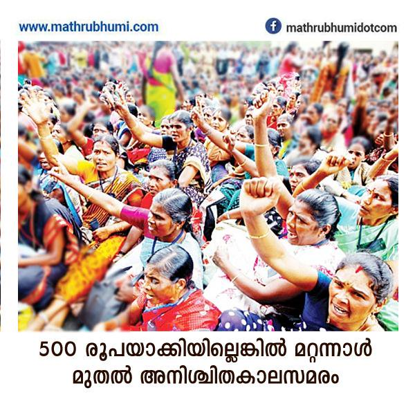 The women who pluck your tea are revolting!