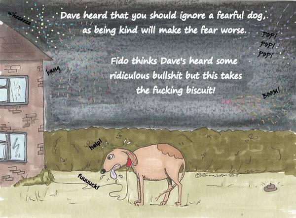 Dogs and fireworks