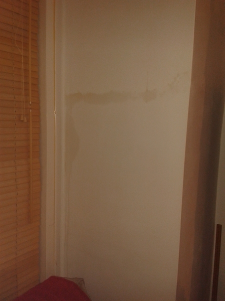 Help! Weird band of damp suddenly appeared
