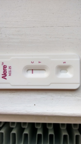 We are all a bit bonkers, worshipping the travelling womble conker, we rub the grad's bumps for luck and shag without scientific schmuck (Most of the time!) Its Just Shagging 56!
