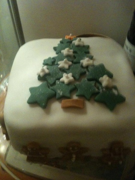 Once your Christmas cakes are baked and nicely sozzled with alcohol, any thoughts about decorating it?